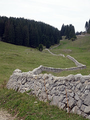 Ein Typisches Bild für die Juraweiden sind die Trockensteinmauern