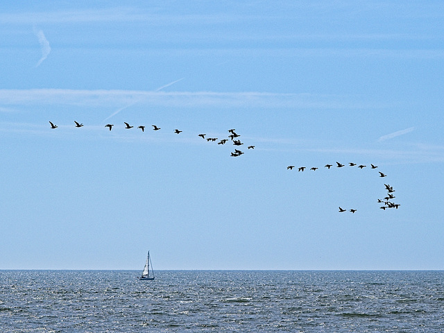 Fly-past