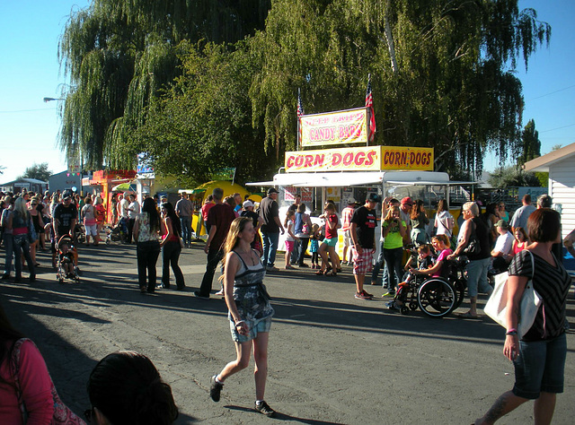 Butte Valley Fair