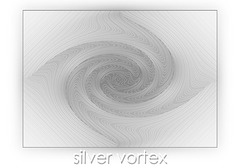 silver vortex
