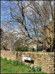spring at Osney Close