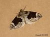 1762 Chloroclysta citrata (Dark Marbled Carpet)