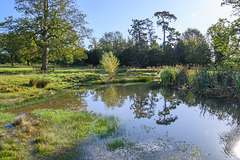 Old Park Pond-DSD1471