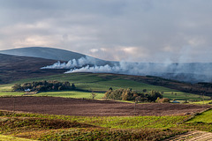 Heather burning in the hills of Angus