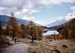 Landschaft bei Tisens in Südtirol