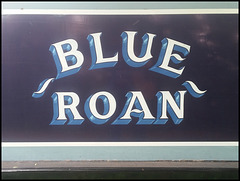 Blue Roan