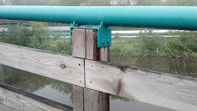 Pont araignée / Spider bridge