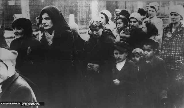 Auschwitz- Arrival of Jews From Hungary