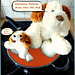 The dog gets mad in the pan... Da wird der Hund in der Pfanne verrückt... ©UdoSm