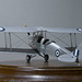 Moth T-6776-4 copy