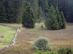 Trockenmauerabgrenzung zwischen Weideland und Jurahochmoor