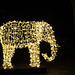 Kölner Zoo - Christmas Garden - Elefant