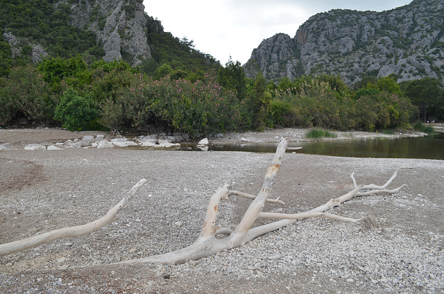 Olympos, Canyon Mouth and the Remains of Tree Branches