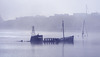 Denny's Dock in the Mist
