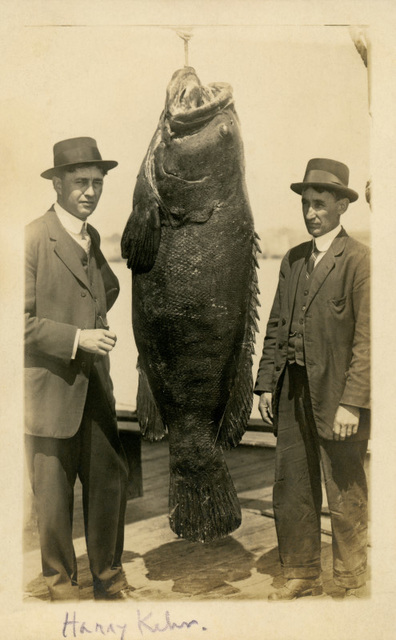 Two Men and a Big Fish