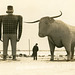 Paul Bunyan and Babe the Blue Ox, Bemidji, Minnesota