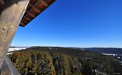auf dem Riesenbühlturm bei Schluchsee (© Buelipix)