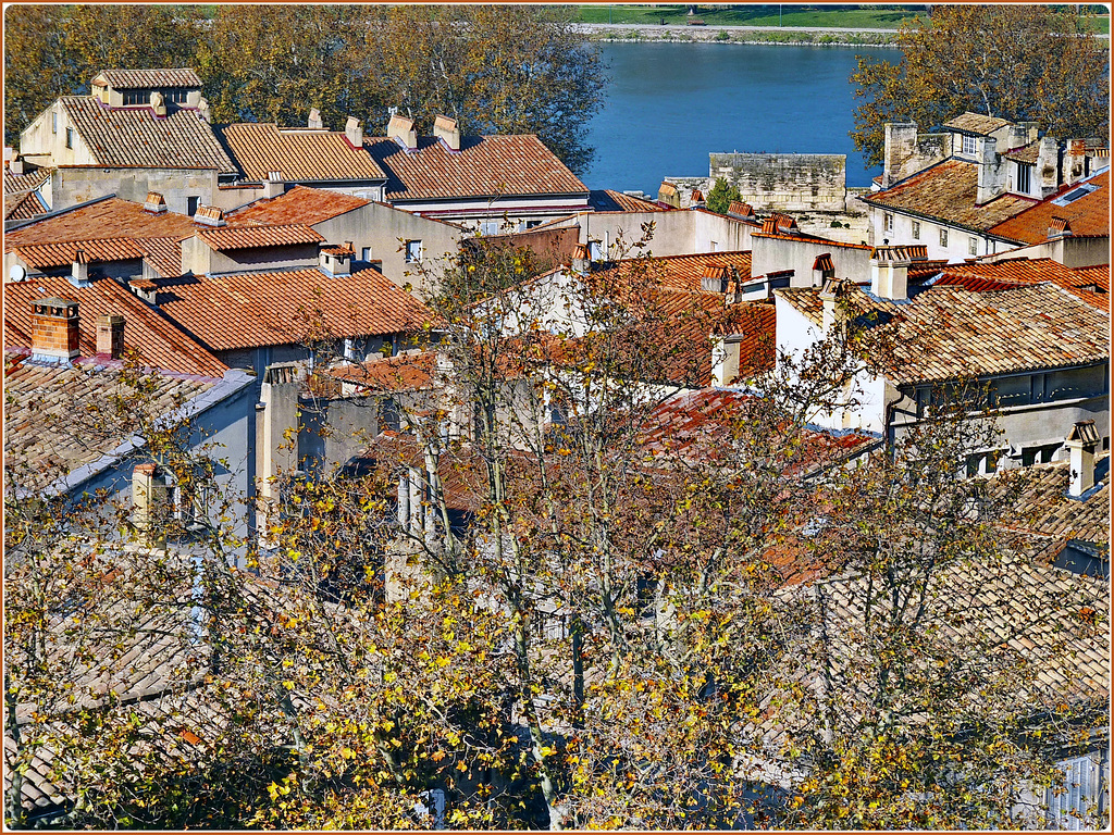Avignon : il centro storico sulla sponda del Rodano presso il ponte di St.-Benezet - lato nord