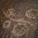 Dinosaur footprints.