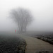 Ein Spaziergang ins Nebelgrau - A walk into the mist grey
