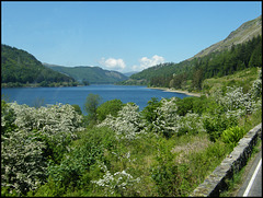 Thirlmere in may