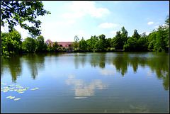 Herzog Pond