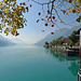 Switzerland - Lake Brienz