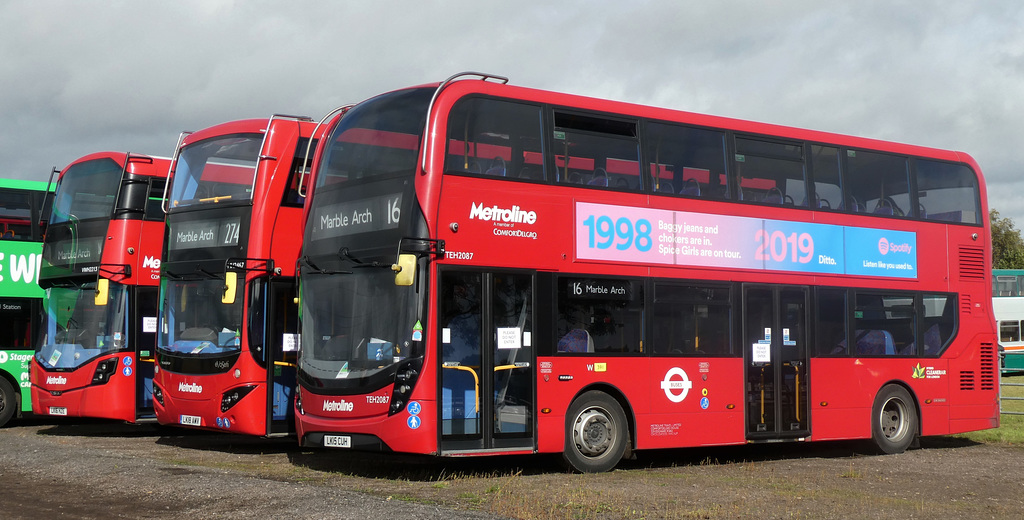 Metroline London hybrids at Showbus - 29 Sep 2019 (P1040641)
