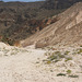 Omani Desert In Dhofar