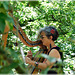 Lili (harpe celtique ) à l'art est dans les bois