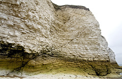 Selwicks Bay faults