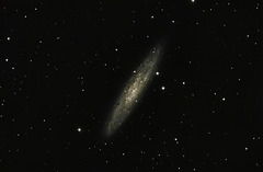 Sculptor Galaxy   NGC253