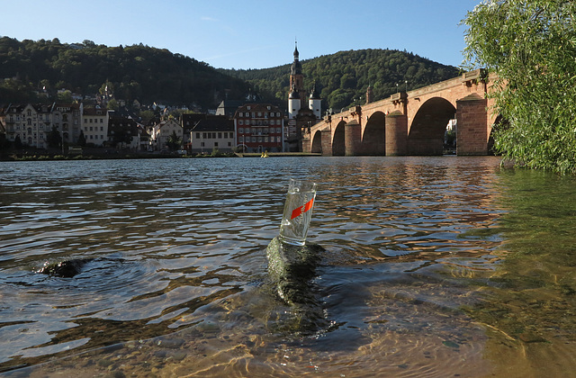 Ein Souvenir von Heidelberg