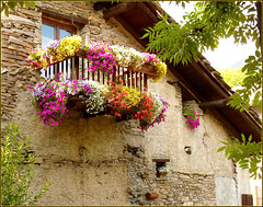 Balboutet : un balcone ben fiorito