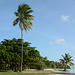 Polynésie Française, Terei'a Beach on the Maupiti Atoll