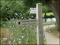 Thames Path public footpath