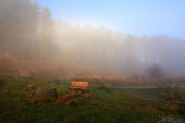A seat in the mist