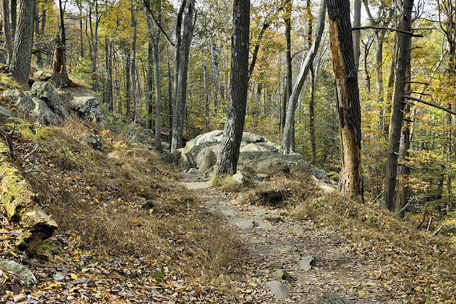 The Path to the Falls – Cunningham Falls State Park, Thurmont, Maryland