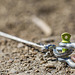 Carabiner and Cable Bokeh