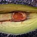 Avocado Eye