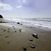 Oasis? - Compton Bay beach Bay Isle of Wight