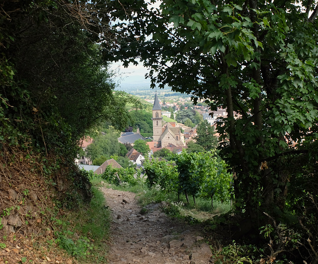RIBEAUVILLÉ Alsace
