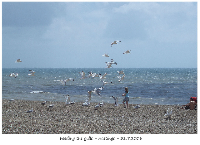 Feeding the gulls Hasting 31 7 2006