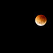 Eclipsed moon