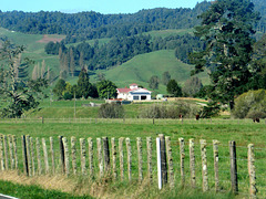 Rural View.