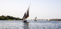 Falucas nubias del bajo Egipto, en el Nilo.