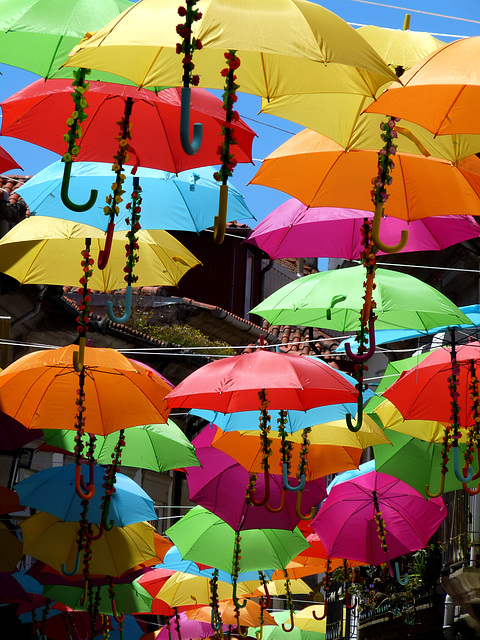 Viana do Castelo- Colourful Umbrellas
