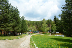 Bulgaria, Road to Belitsa Bear Sanctuary