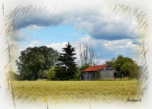 En campagne ... ***  In the countryside ...