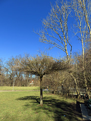 Paul-Diehl Park in the West of Munich.